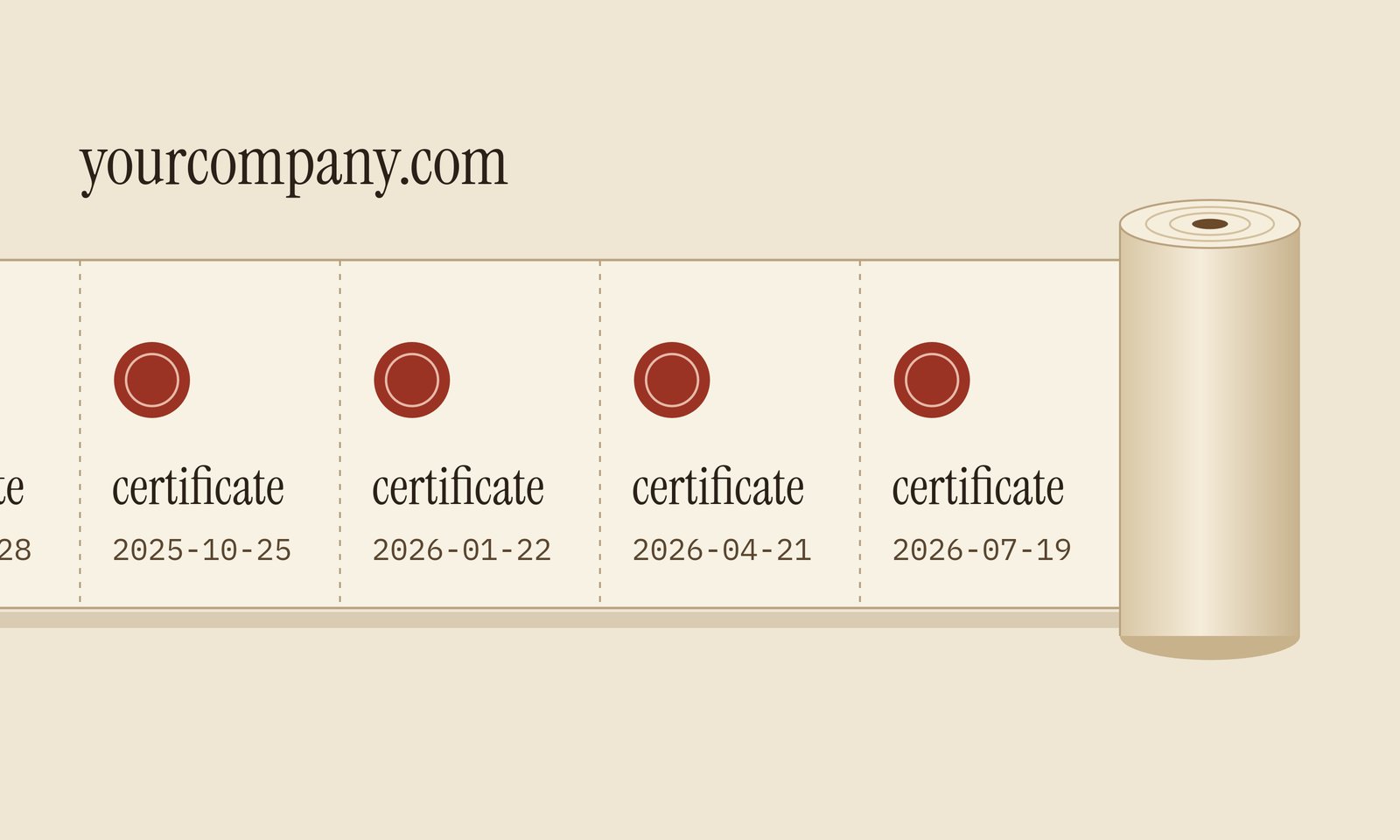 Certificate Transparency Logs: CA-signed Certs are Public