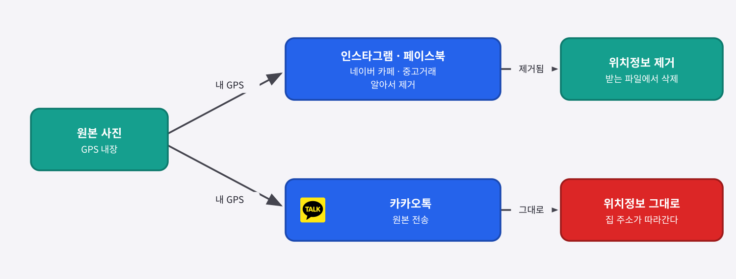원본 사진 한 장에 GPS가 들어 있고, 인스타그램이나 네이버 카페·중고거래로 보내면 상대가 받는 파일에서 위치정보가 제거되지만, 카카오톡 원본 전송으로 보내면 위치정보가 그대로 남아 집 주소가 사진과 함께 따라간다는 것을 보여주는 다이어그램.
