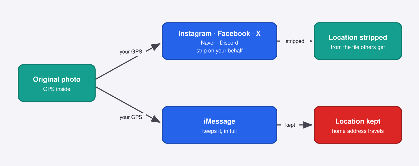Which Apps Keep Your Photo's Location, and Which Strip It